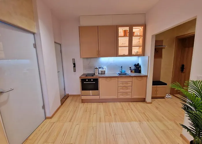 Fs - Beautiful In The Center Of Apartment